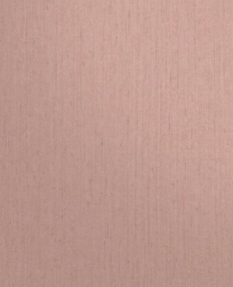 Tisbury Shell Wallpaper by Clarissa Hulse - 120374_TILE_01.jpg