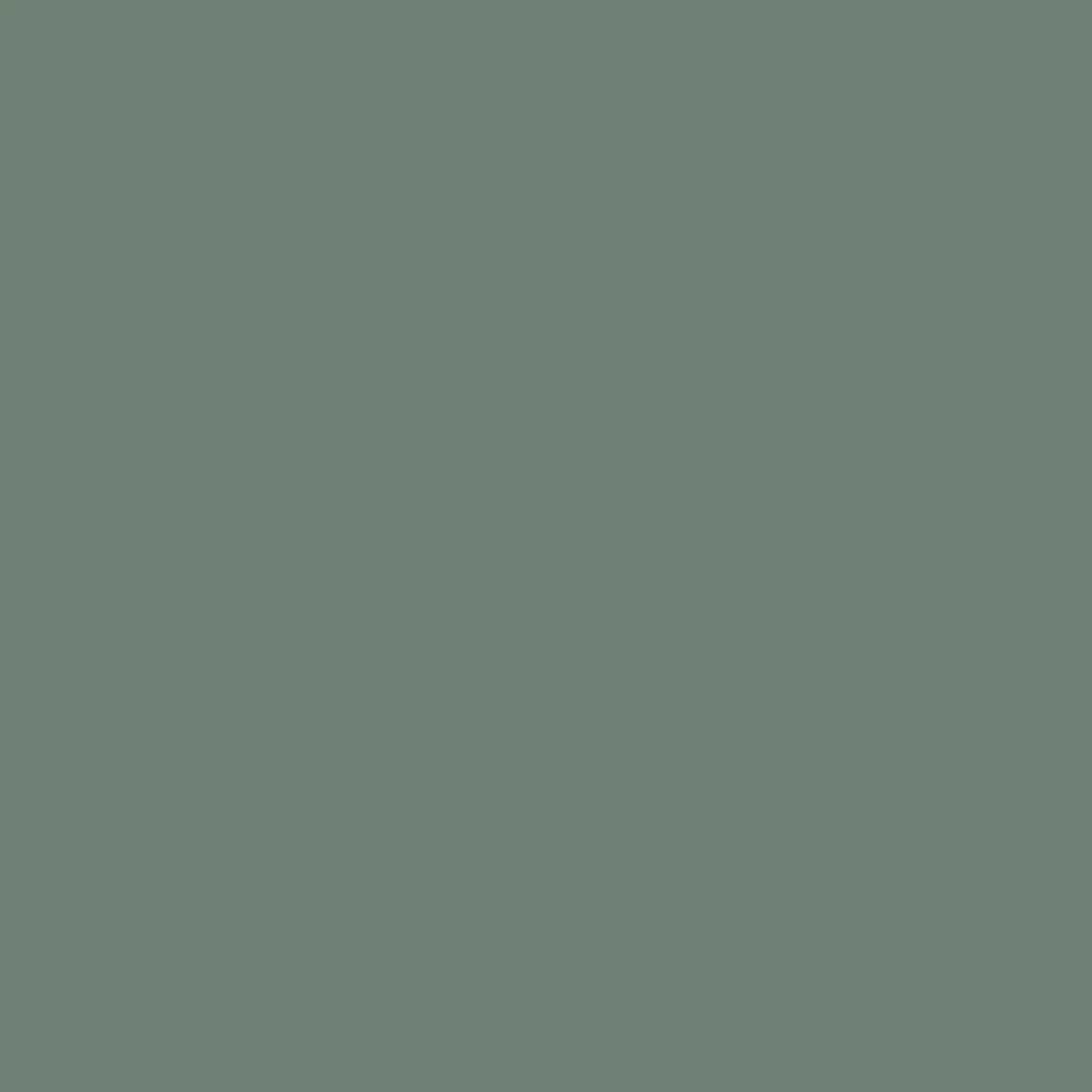 William Morris At Home Forest Road Paint - 124314_TILE_FOREST ROAD_01.jpg