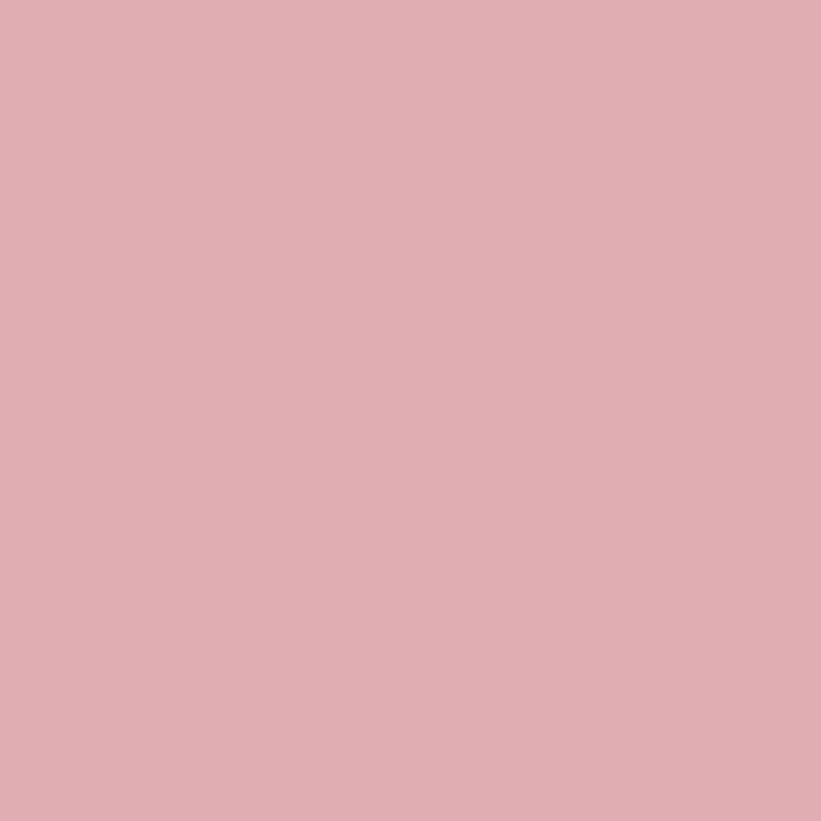 Cath Kidston Rose Wishes Paint - 128080_TILE_ROSE WISHES_01.jpg