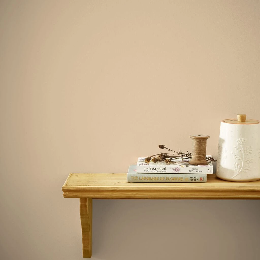 Joules Bushell Paint