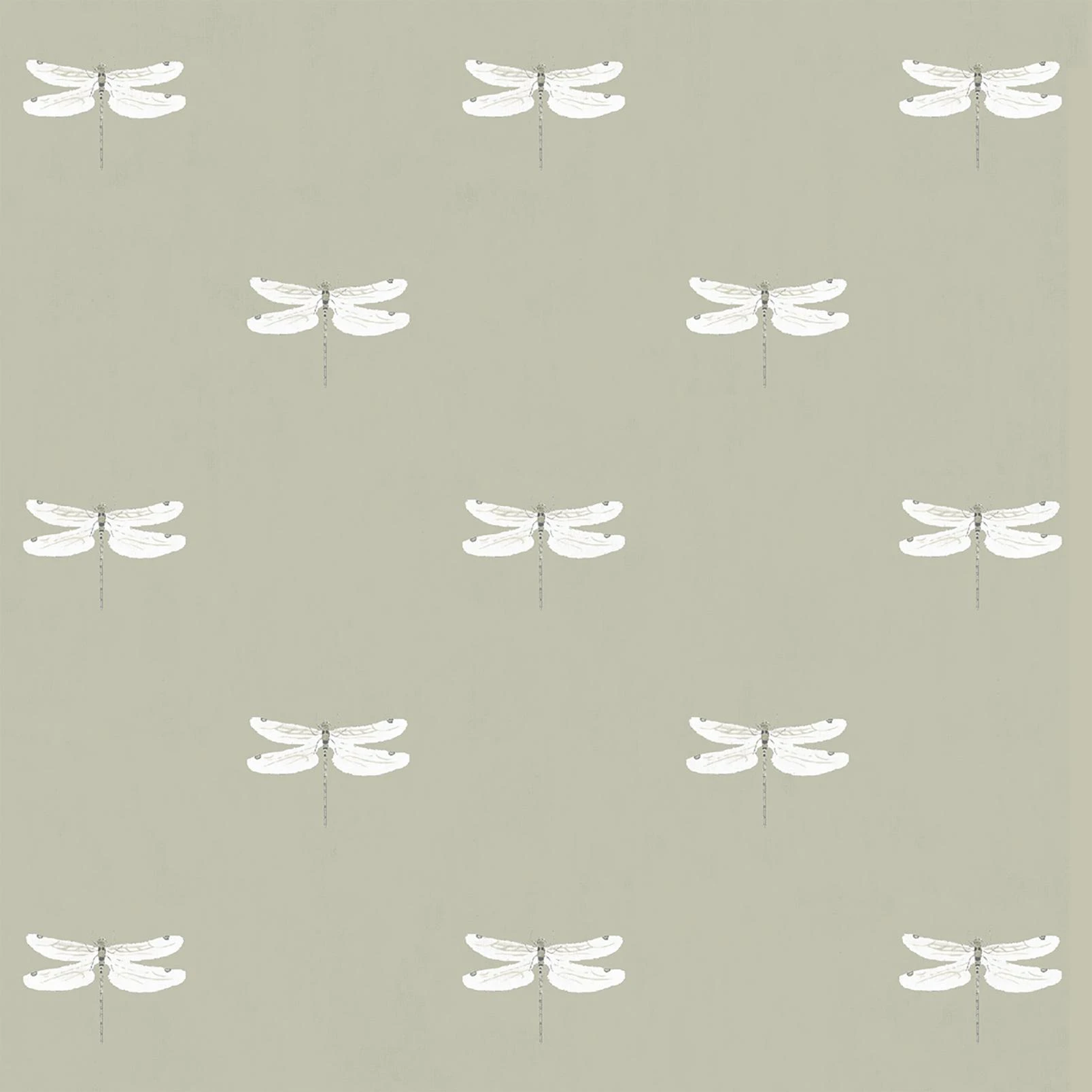 A5 Sample Dragonfly Sand Light Filtering - 13120094_TILE_01.jpg