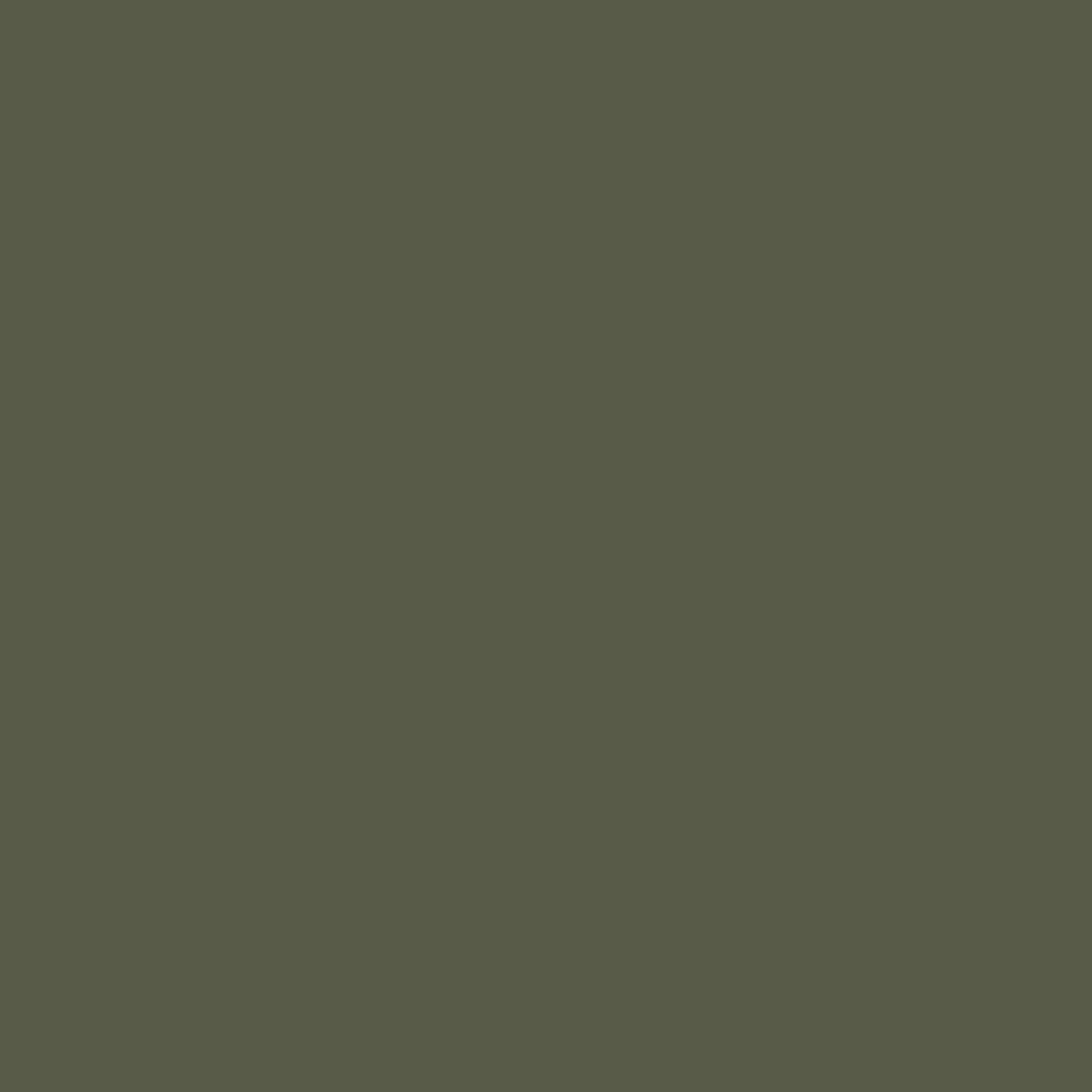 Abigail Ahern Desert Saltbush Paint - 131458_TILE_DESERT SALTBUSH_01.jpg