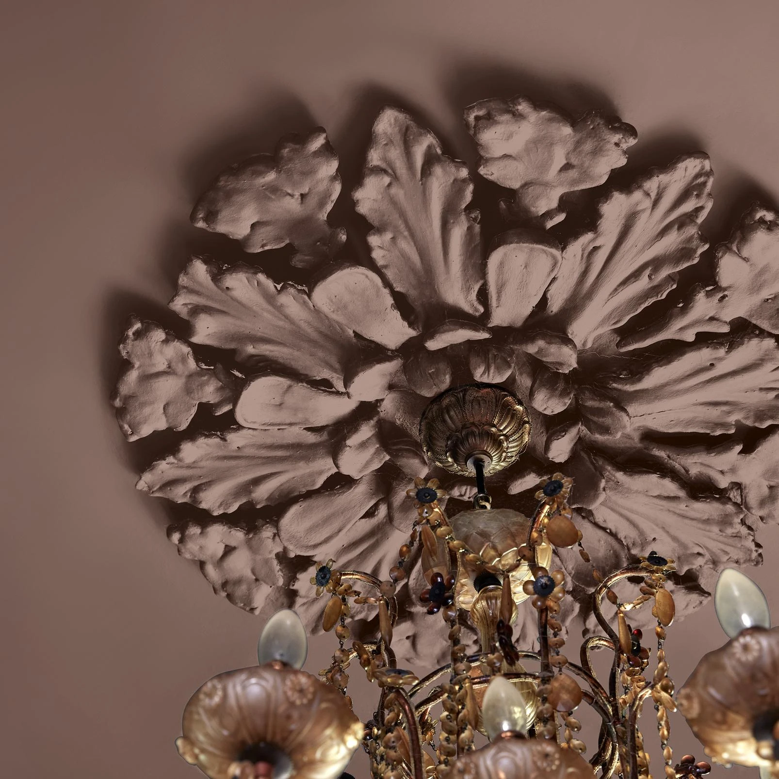 Abigail Ahern Sequoia Tree Paint - 131482_DETAIL_SEQUOIA TREE_02.jpg