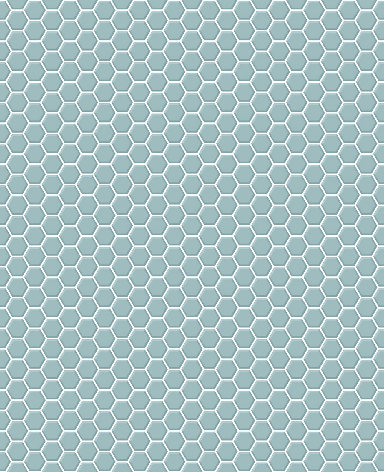 Transform Hexagon Duck Egg Peel and Stick Wallpaper - 121734_TILE_01.jpg