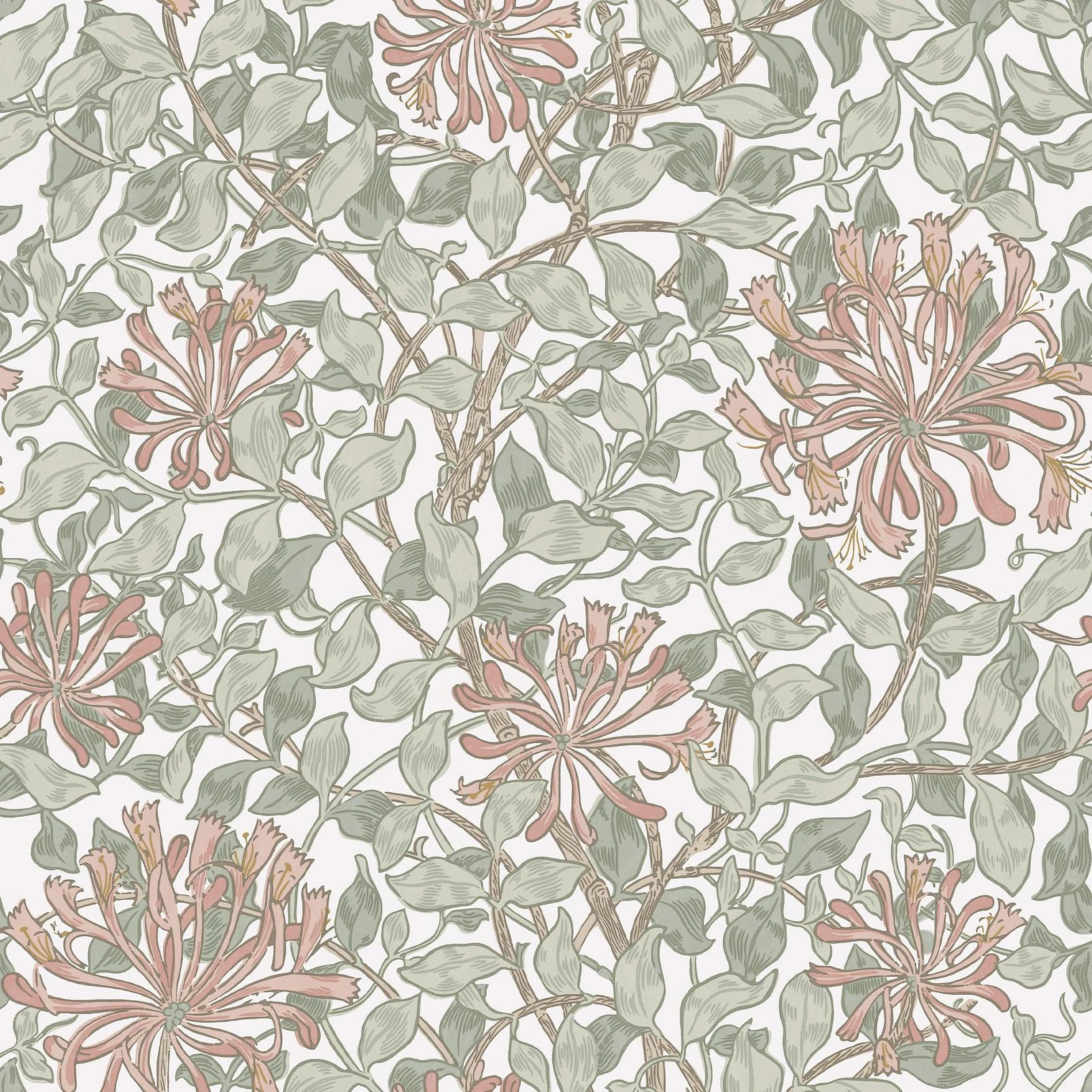 Honeysuckle Maytime Wallpaper - 140488_TILE_HONEYSUCKLE MAYTIME_01.jpg