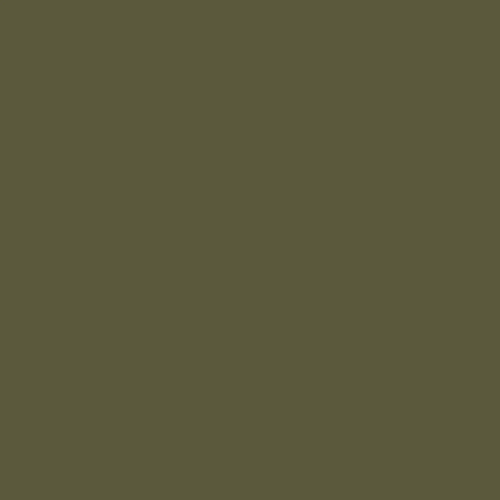 Laura Ashley Dark Hedgerow Paint - 142070_TILE_DARK HEDGEROW_01.jpg
