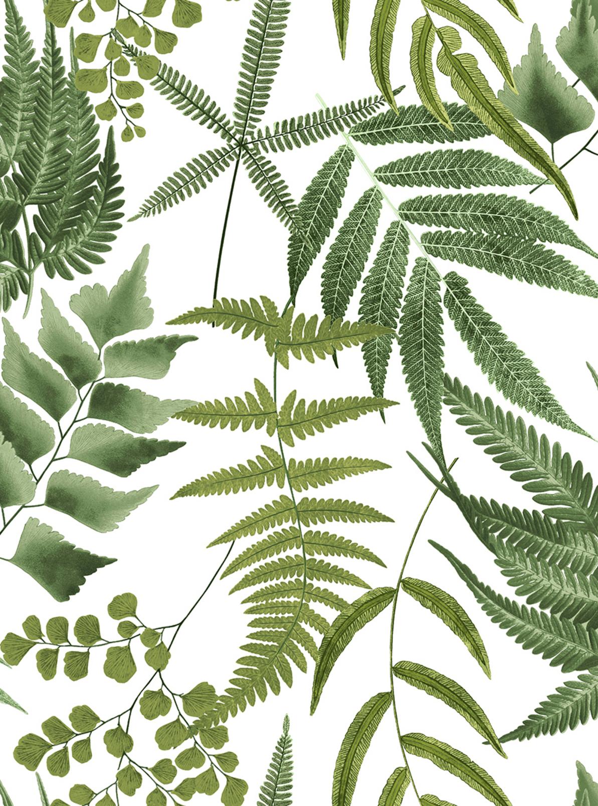 Midsummer Fern Lush Wallpaper - 107880_TILE_MIDSUMMER FERN LUSH_01.jpg