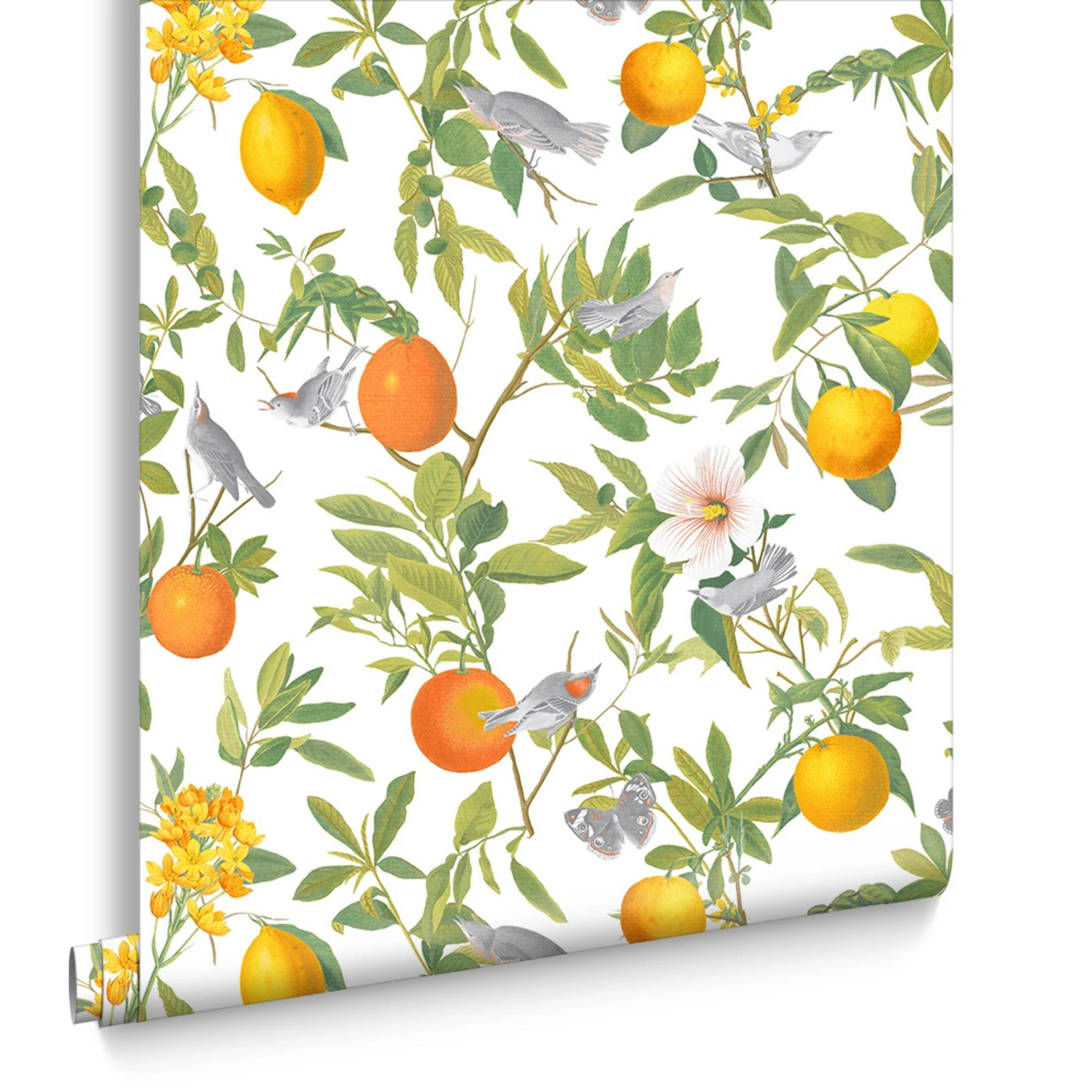 Amalfi White Wallpaper - 105641_DIGITAL ROLL_AMALFI WHITE_01.jpg