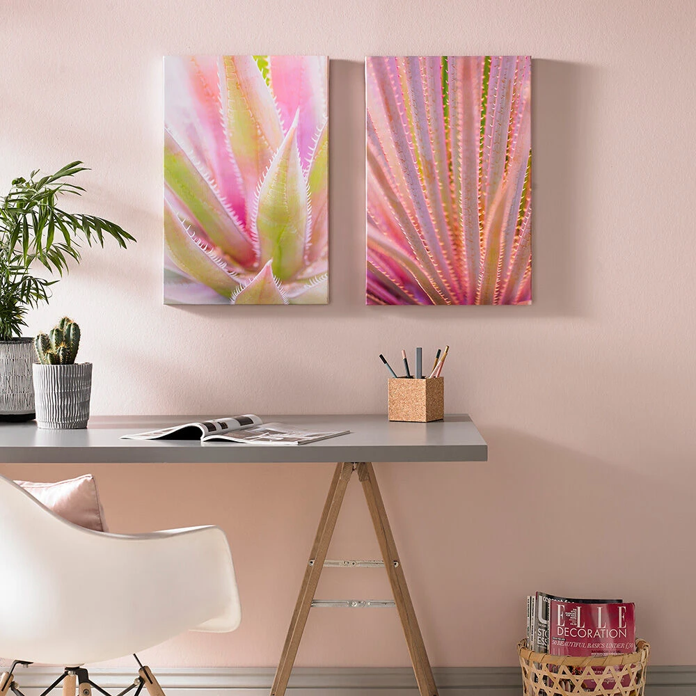 Blushed Tropics Printed Canvas Wall Art