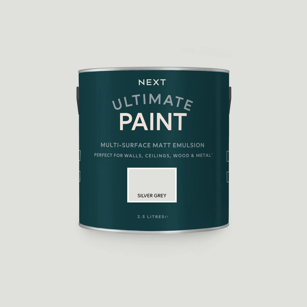 next silver grey paint