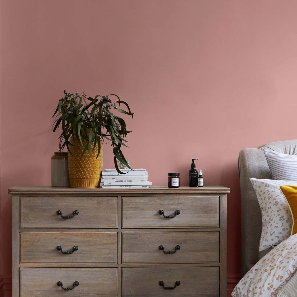 next rose pink paint