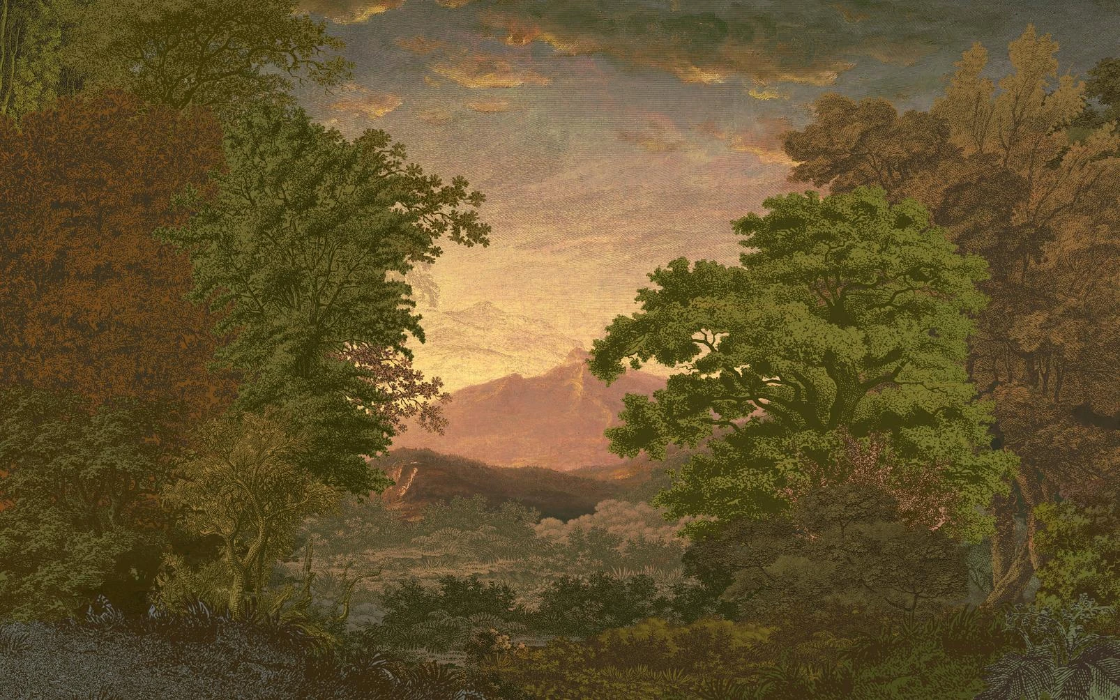 Sketch Forest Morning Bespoke Mural - 117791_MAINTILE_01.jpg