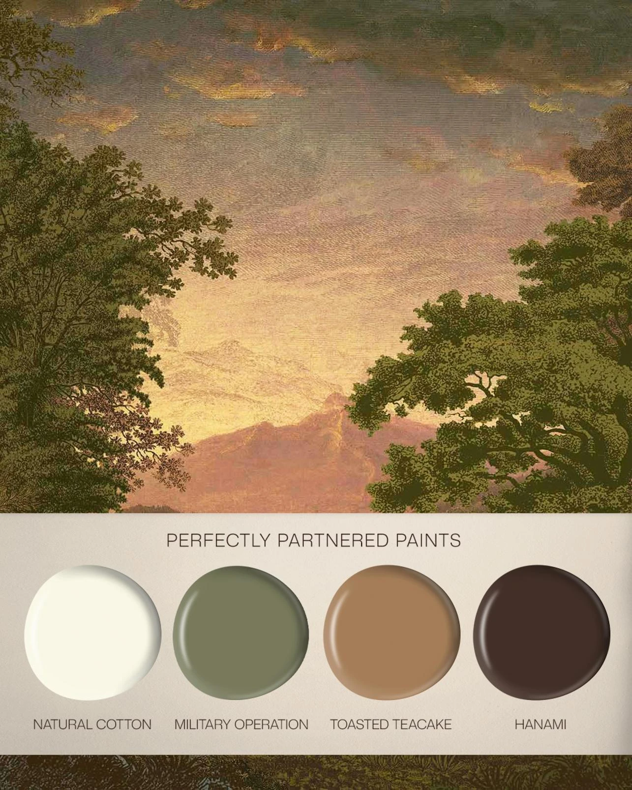Sketch Forest Morning Bespoke Mural - 117791_FLATLAY.jpg